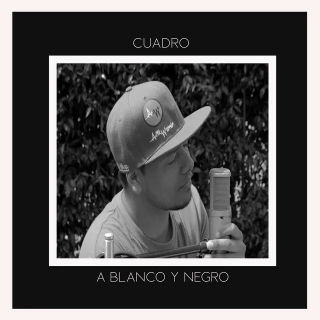 Cuadro a Blanco y Negro