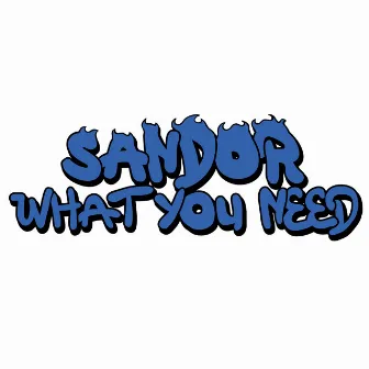 What You Need by Sandor