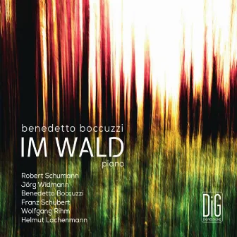 Im Wald by Benedetto Boccuzzi