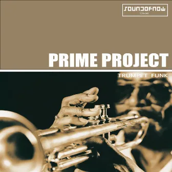 Trumpet Funk by Prime Project