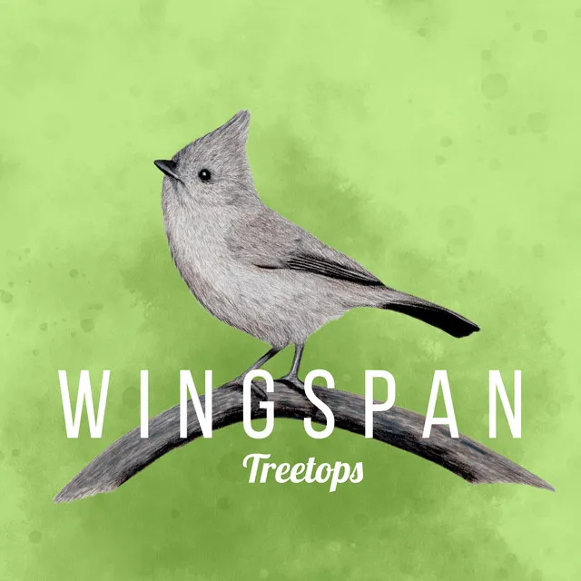 Treetops (Wingspan Original Video Game Soundtrack)