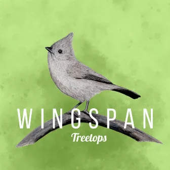 Treetops (Wingspan Original Video Game Soundtrack) by Paweł Górniak