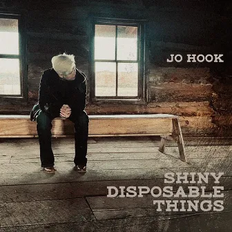 Shiny Disposable Things by Jo Hook