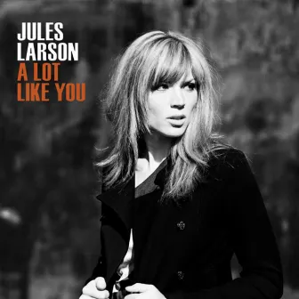 A Lot Like You by Jules Larson