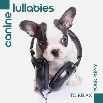 Canine Lullabies to Relax Your Puppy - Help Dog when Tay Stay at Home Alone by DJ Chillout