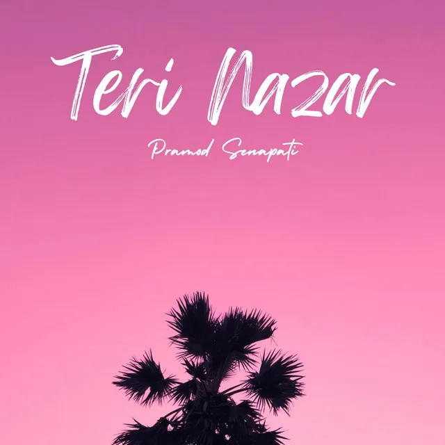 Teri Nazar