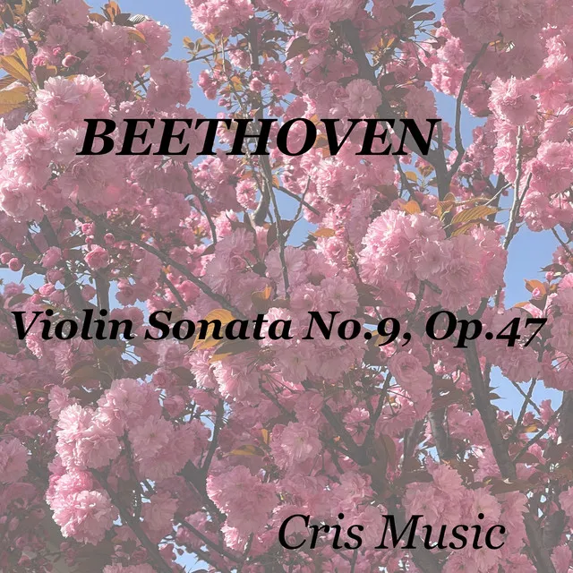 Violin Sonata NO. 9 in a Major, Op. 47: II. Andante Con Variazioni