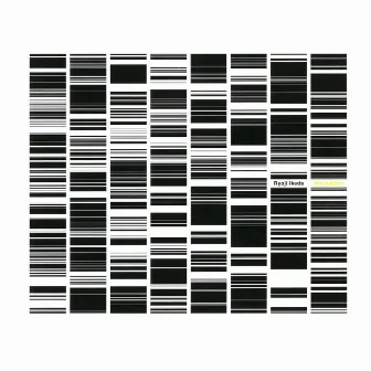 test pattern by Ryoji Ikeda