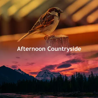 Afternoon Countryside by Bird and Nature Sounds