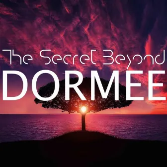 The Secret Beyond by Dormee