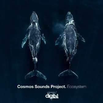 Ecosystem by Cosmos Sounds Project