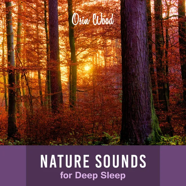 Sounds for Deep Sleep