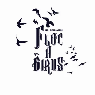 FLOC-A-BIRDS by Mr Benjamin