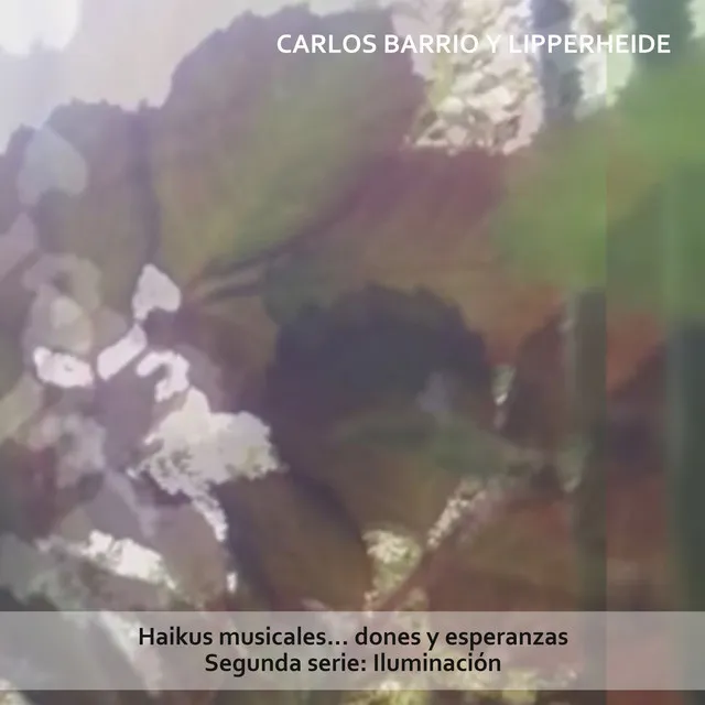 Haikus Musicales Dones y Esperanzas, Segunda Serie: Iluminación