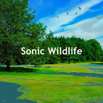 Sonic Wildlife by Sacred Nature