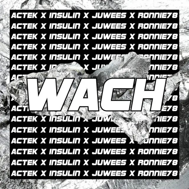 Wach (Remake Edition)