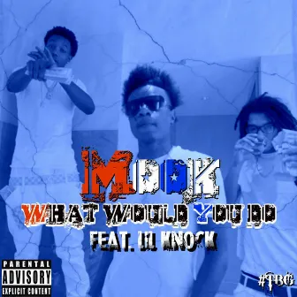 What Would You Do (feat. Lil Knock) by Mook TBG