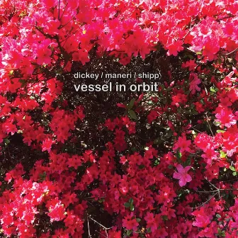 Vessel in Orbit by Matthew Shipp