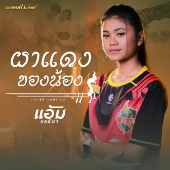 ผาแดงของน้อง (Cover Version) - Single by แอ้ม ชลธิชา