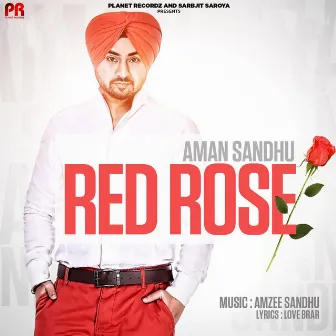 Red Rose by Aman Sandhu