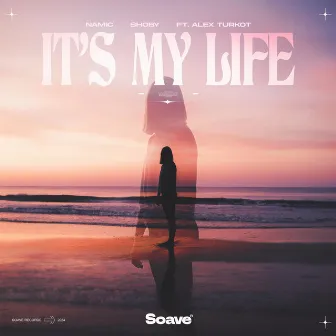 It's My Life by Namic