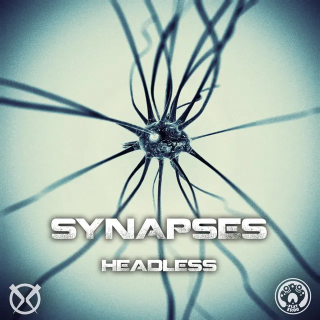 Synapses