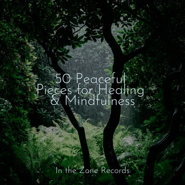 50 Peaceful Pieces for Healing & Mindfulness