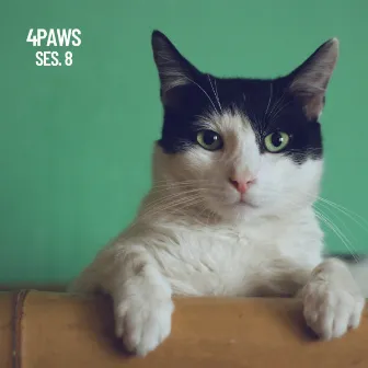 4Paws, Musica de dormir para perros y gatos, Tiernos momentos by Lluvia en el Bosque