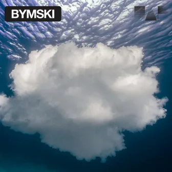 To Drift Like a Cloud / Little Finger by Bymski