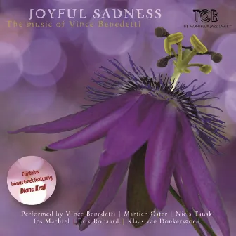 Joyful Sadness / The Music of Vince Benedetti by Martien Oster