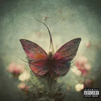 Butterflies EP by HazyThaPoet