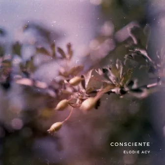 Consciente by Elodie Acy