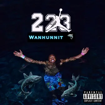 223 by Wanhunnit