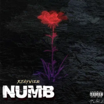 Numb by Xzayvier