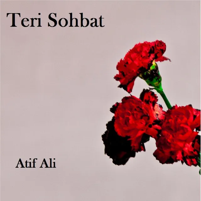 Teri Sohbat