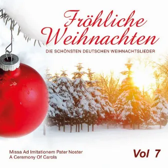 Fröhliche Weihnachten, Vol. 7 by European Jazz Giants