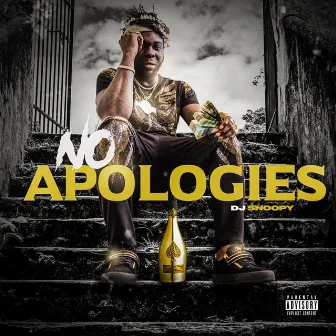 No Apologies by Dj Snoopy