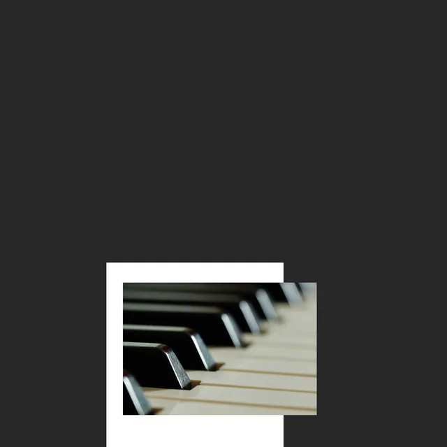 Paws & Play: Piano Sounds for Dogs