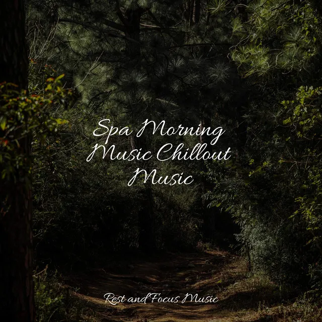 Spa Morning Music Chillout Music