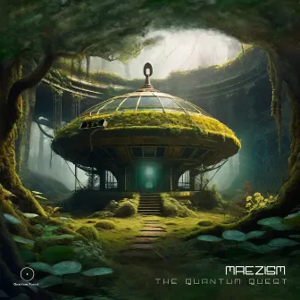 The Quantum Quest by Maezism