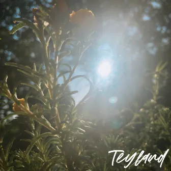 Sunshine by Teyland