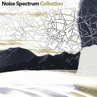 Noise Spectrum Collection by Noise Spectrum