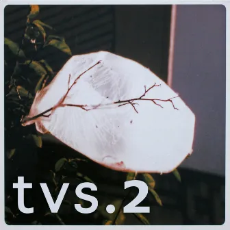 TVS.2 (2017 remastered version) by TVS