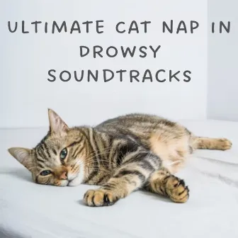 Ultimate Cat Nap in Drowsy Soundtracks by Sleepy Cat