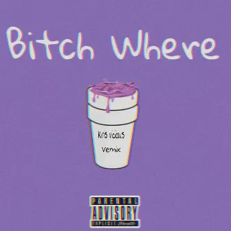 B!tch Where VMIX by Kris Vicious