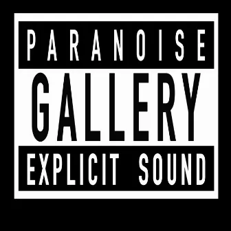 Paranoise Gallery by Daniel Kid