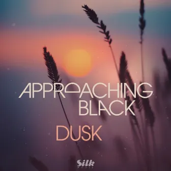 Dusk by Approaching Black