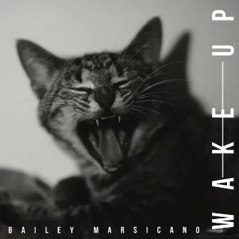 Wake Up by Bailey Marsicano