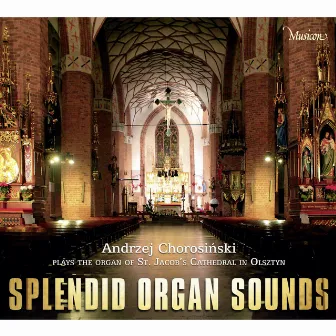 Splendid Organ Sounds (Instrumental) by Andrzej Chorosiński