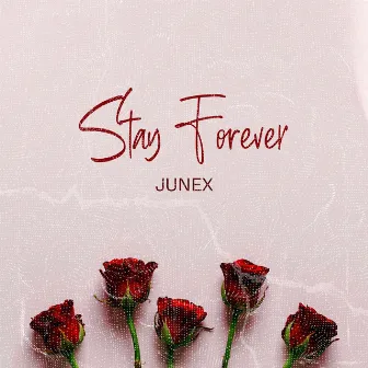 Stay Forever by Junex